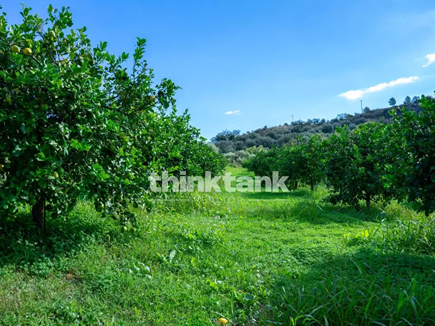 Immagine 19 di Rustico / casale in vendita  in Via della ginestra a Avola