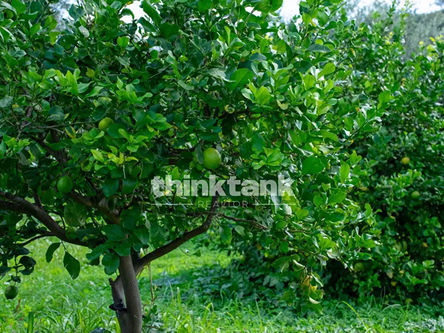 Immagine 20 di Rustico / casale in vendita  in Via della ginestra a Avola