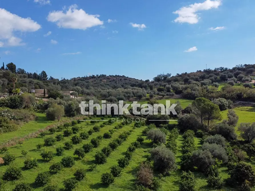 Immagine 52 di Rustico / casale in vendita  in Via della ginestra a Avola