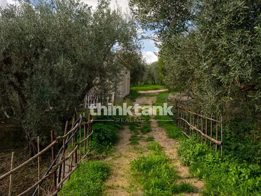 Immagine 76 di Rustico / casale in vendita  in Via della ginestra a Avola