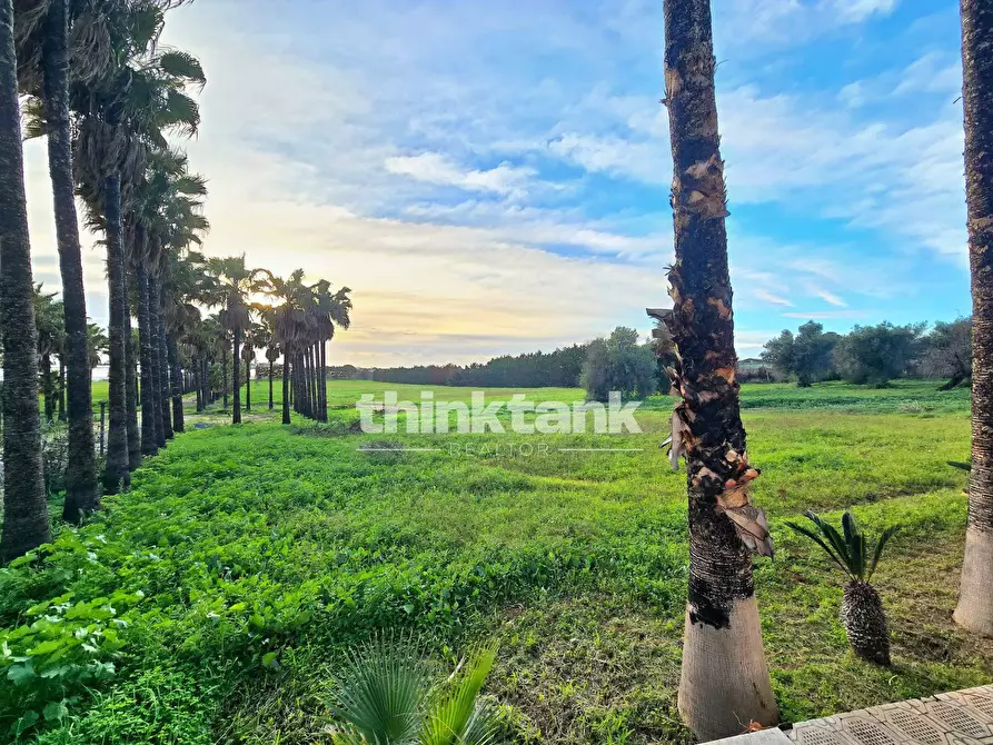 Immagine 59 di Rustico / casale in vendita  in SS115 Km4 a Vittoria