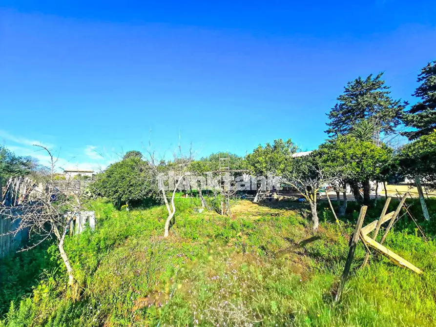 Immagine 28 di Villa in vendita  in Via della Canapa a Ispica