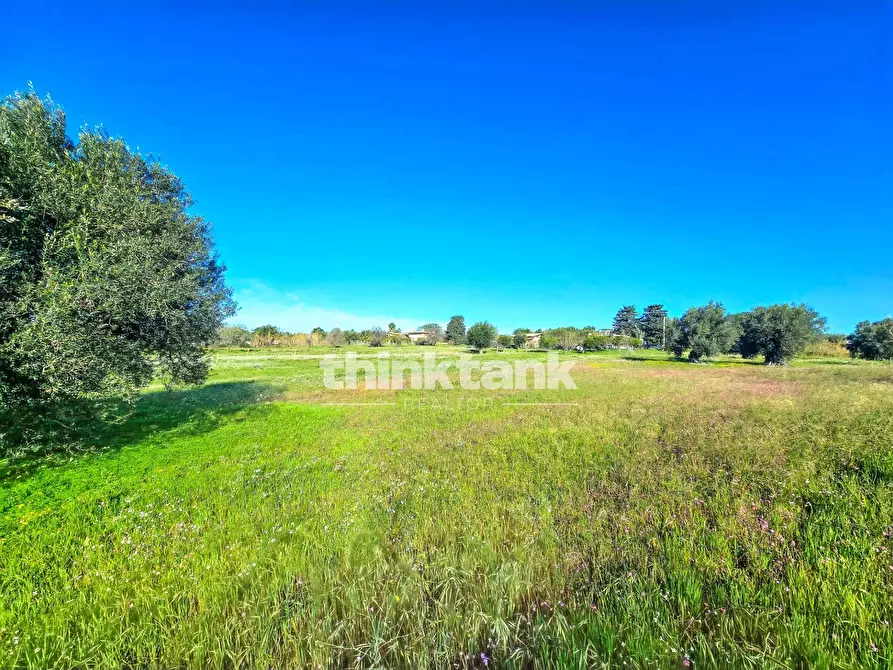 Immagine 29 di Villa in vendita  in Via della Canapa a Ispica