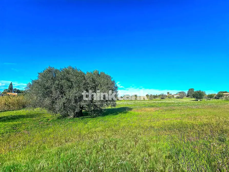 Immagine 30 di Villa in vendita  in Via della Canapa a Ispica