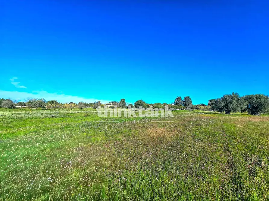 Immagine 31 di Villa in vendita  in Via della Canapa a Ispica