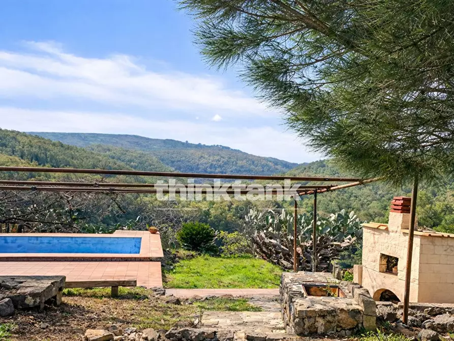 Immagine 9 di Villa in vendita  in Strada Provinciale 194 a Francofonte