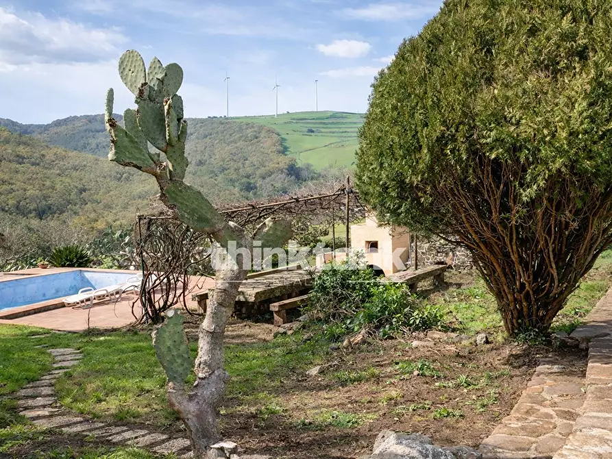 Immagine 10 di Villa in vendita  in Strada Provinciale 194 a Francofonte