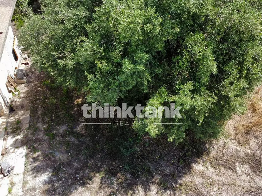 Immagine 20 di Terreno agricolo in vendita  in SS 115 Sud occidentale Sicula a Noto