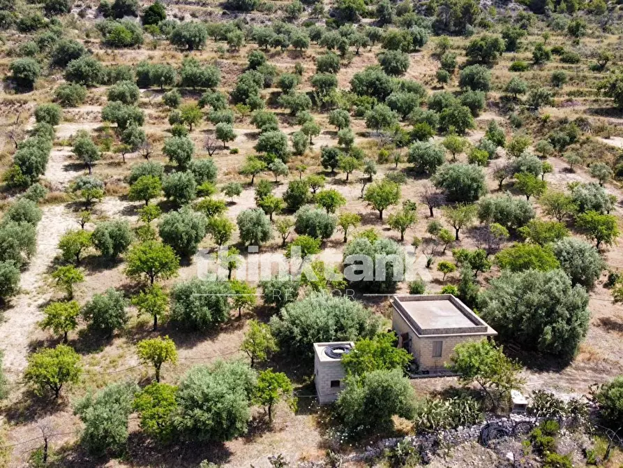 Immagine 2 di Terreno agricolo in vendita  in SS 115 Sud occidentale Sicula a Noto