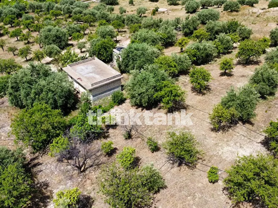 Immagine 3 di Terreno agricolo in vendita  in SS 115 Sud occidentale Sicula a Noto