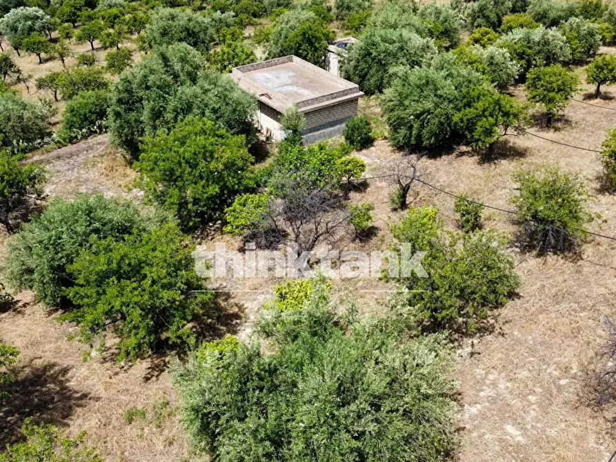 Immagine 4 di Terreno agricolo in vendita  in SS 115 Sud occidentale Sicula a Noto