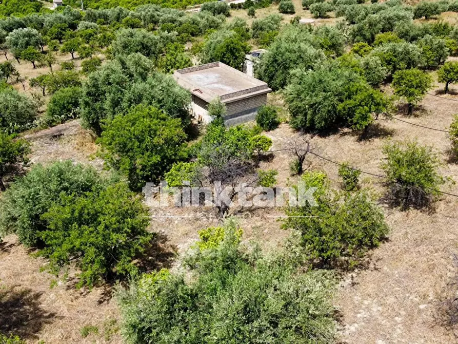 Immagine 5 di Terreno agricolo in vendita  in SS 115 Sud occidentale Sicula a Noto