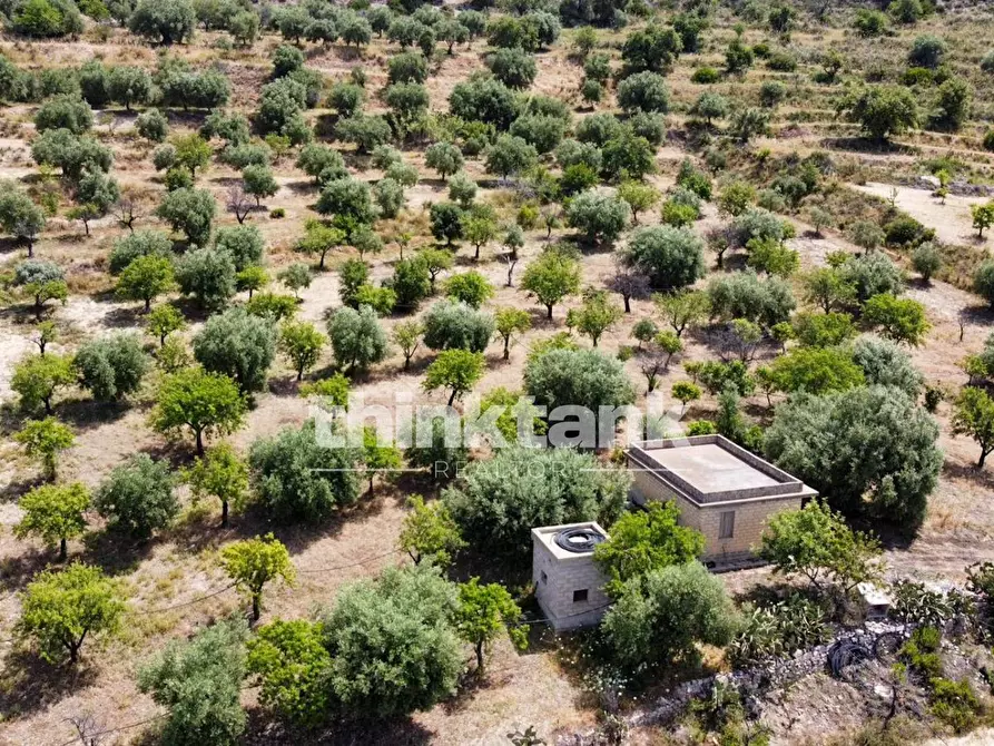 Immagine 6 di Terreno agricolo in vendita  in SS 115 Sud occidentale Sicula a Noto