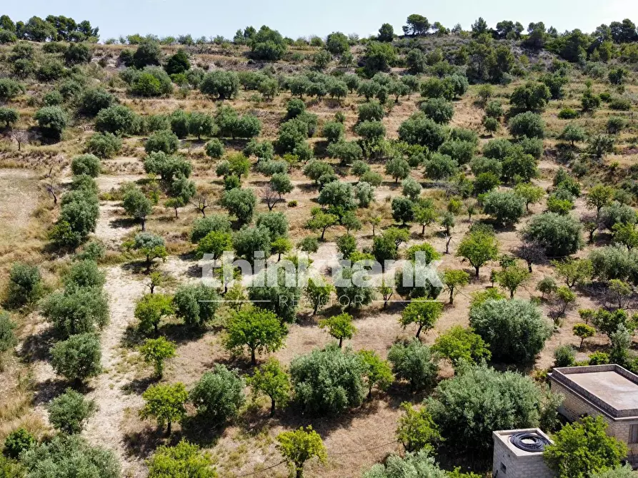 Immagine 8 di Terreno agricolo in vendita  in SS 115 Sud occidentale Sicula a Noto