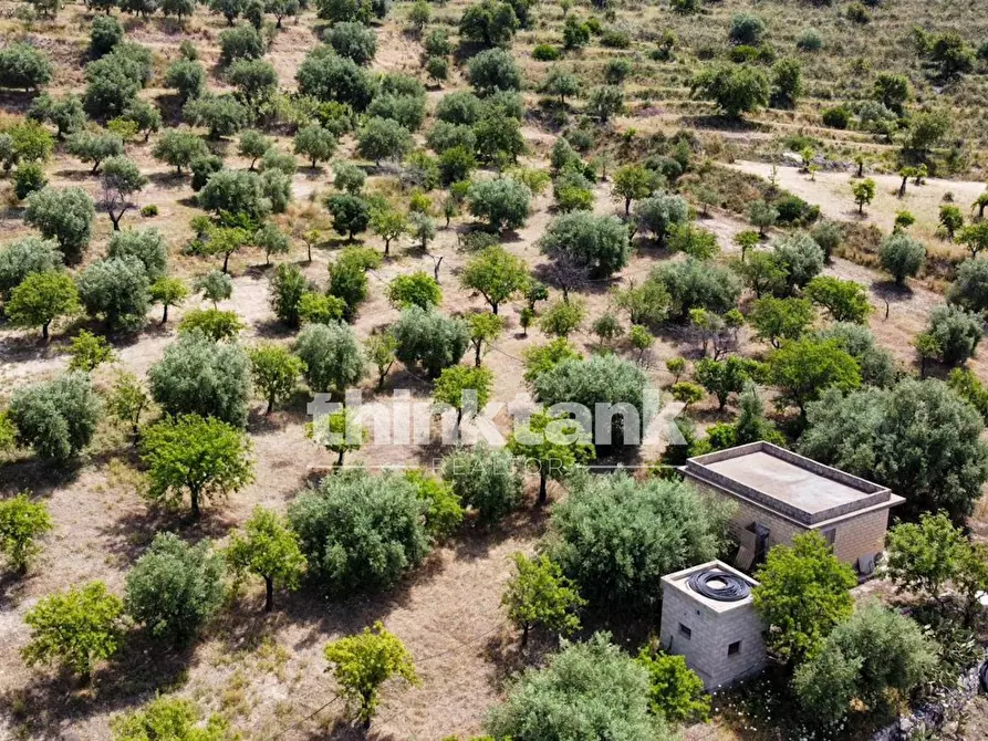 Immagine 10 di Terreno agricolo in vendita  in SS 115 Sud occidentale Sicula a Noto