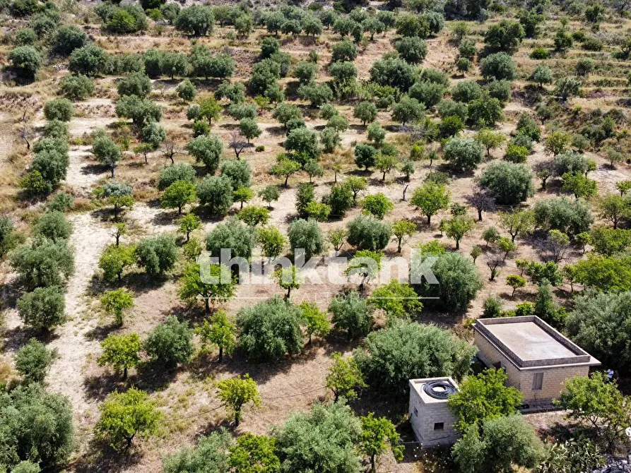 Immagine 11 di Terreno agricolo in vendita  in SS 115 Sud occidentale Sicula a Noto
