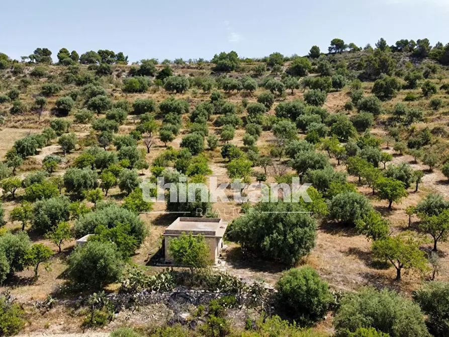 Immagine 12 di Terreno agricolo in vendita  in SS 115 Sud occidentale Sicula a Noto