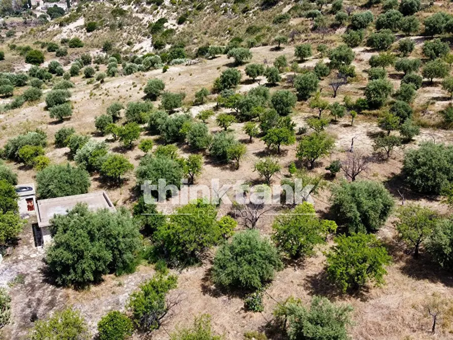 Immagine 13 di Terreno agricolo in vendita  in SS 115 Sud occidentale Sicula a Noto