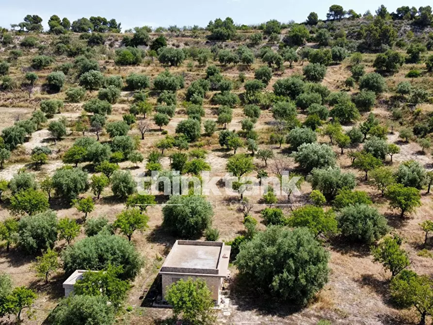 Immagine 14 di Terreno agricolo in vendita  in SS 115 Sud occidentale Sicula a Noto