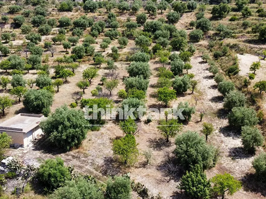 Immagine 15 di Terreno agricolo in vendita  in SS 115 Sud occidentale Sicula a Noto