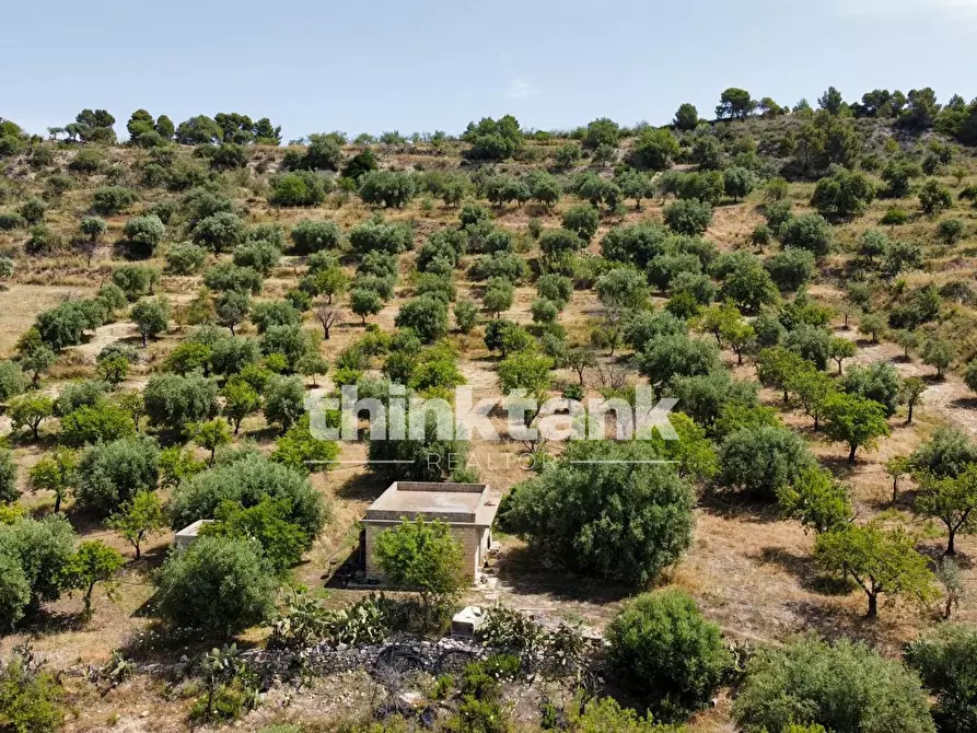 Immagine 16 di Terreno agricolo in vendita  in SS 115 Sud occidentale Sicula a Noto