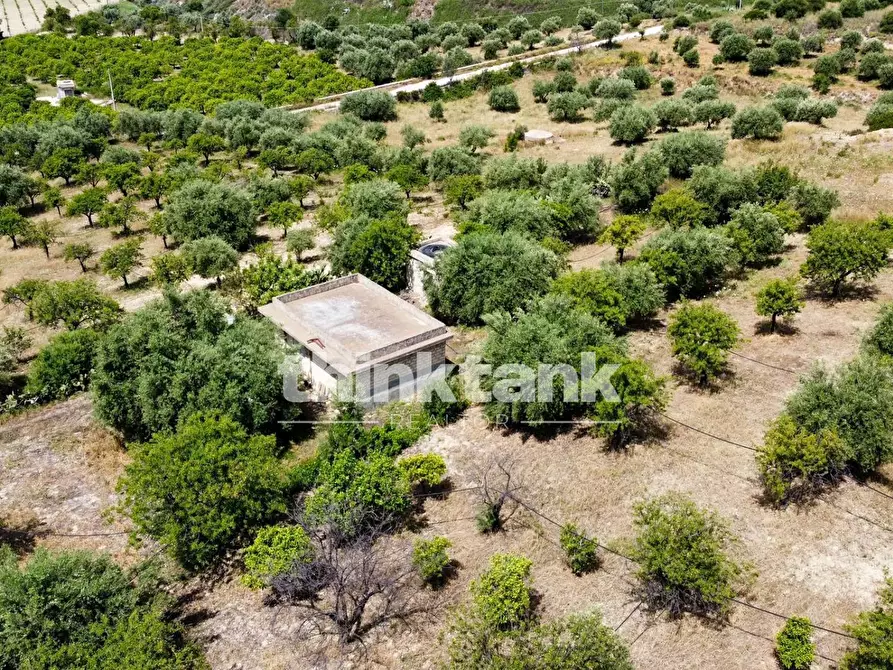 Immagine 17 di Terreno agricolo in vendita  in SS 115 Sud occidentale Sicula a Noto