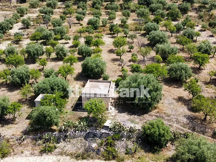 Immagine 18 di Terreno agricolo in vendita  in SS 115 Sud occidentale Sicula a Noto
