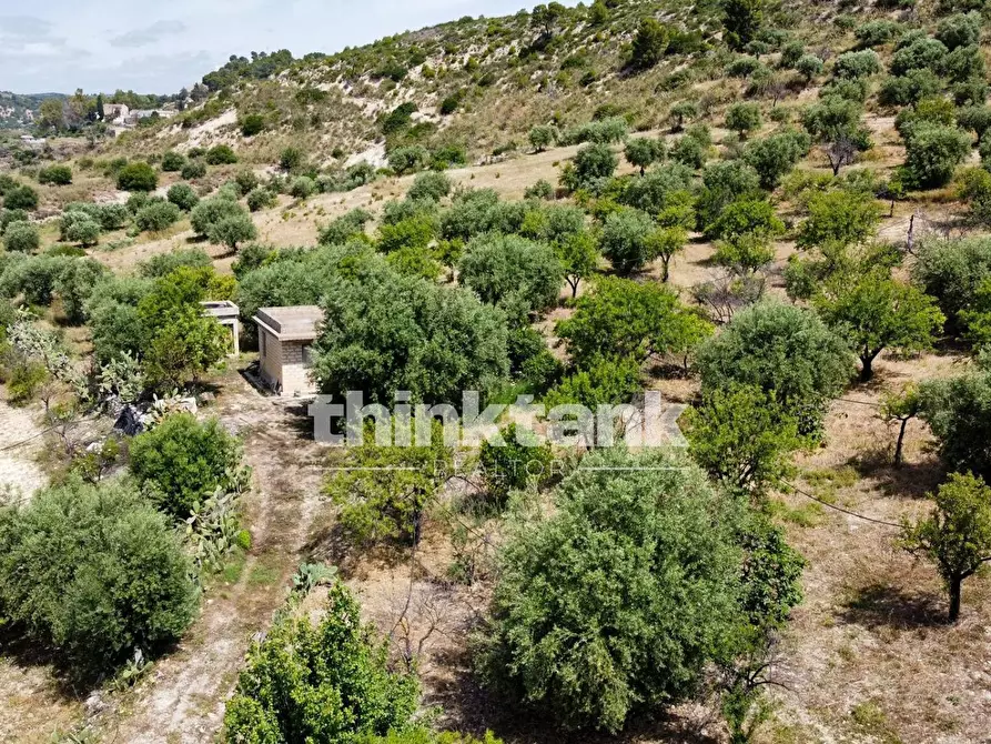 Immagine 19 di Terreno agricolo in vendita  in SS 115 Sud occidentale Sicula a Noto