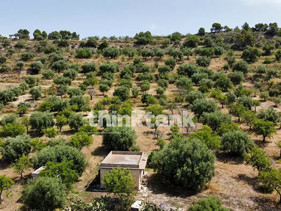 Immagine 21 di Terreno agricolo in vendita  in SS 115 Sud occidentale Sicula a Noto