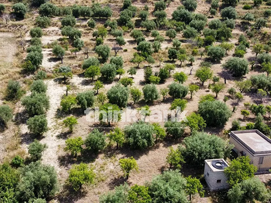 Immagine 22 di Terreno agricolo in vendita  in SS 115 Sud occidentale Sicula a Noto