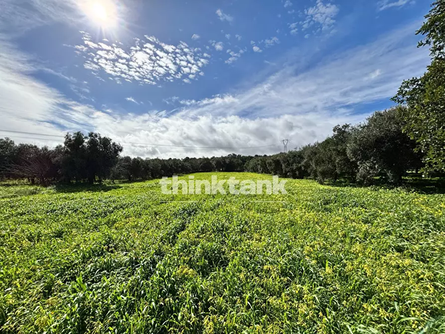 Immagine 58 di Rustico / casale in vendita  in Contrada Serra a Buccheri