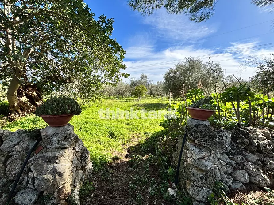 Immagine 56 di Rustico / casale in vendita  in Contrada Serra a Buccheri