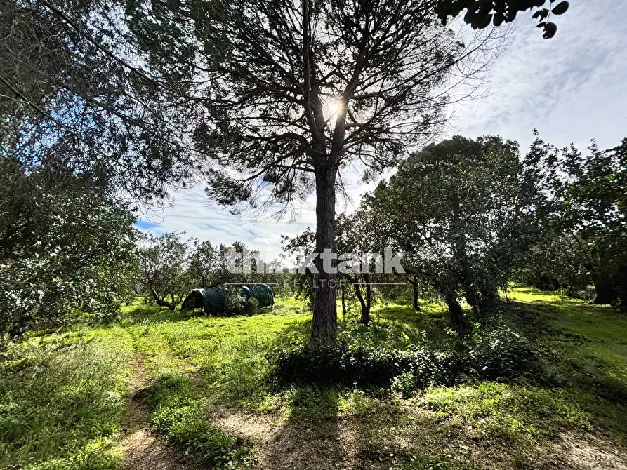 Immagine 60 di Rustico / casale in vendita  in Contrada Serra a Buccheri