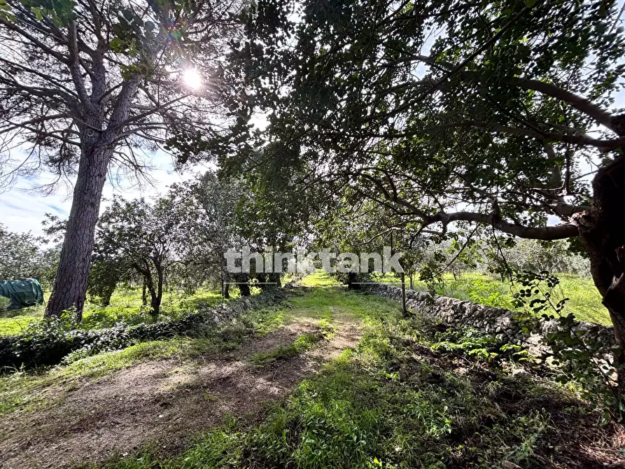 Immagine 62 di Rustico / casale in vendita  in Contrada Serra a Buccheri
