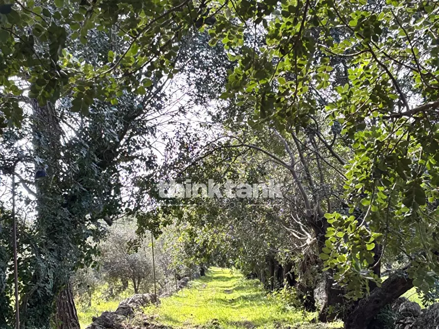Immagine 61 di Rustico / casale in vendita  in Contrada Serra a Buccheri