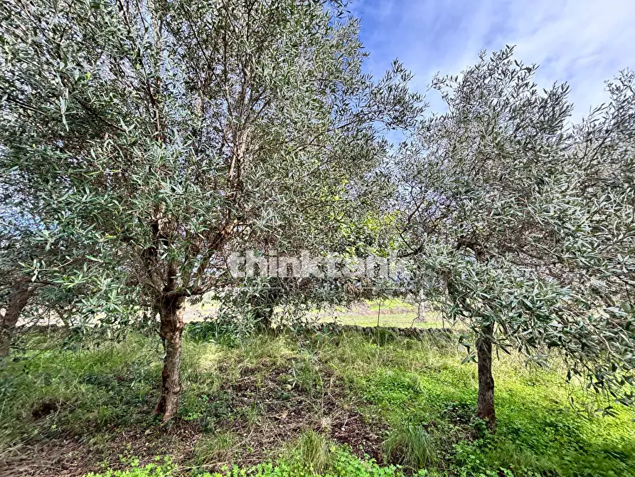 Immagine 63 di Rustico / casale in vendita  in Contrada Serra a Buccheri