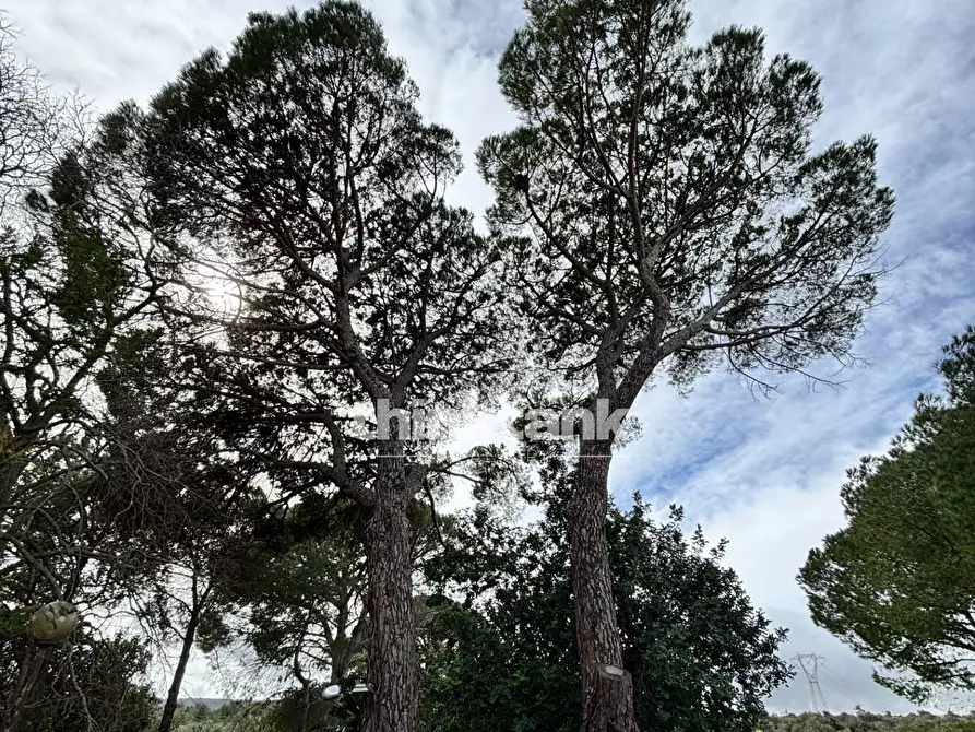 Immagine 36 di Rustico / casale in vendita  in Contrada Serra a Buccheri