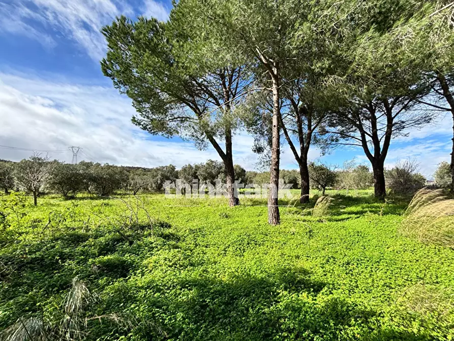 Immagine 59 di Rustico / casale in vendita  in Contrada Serra a Buccheri