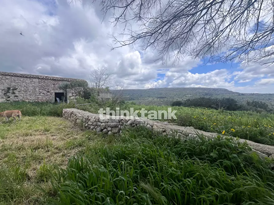 Immagine 3 di Rustico / casale in vendita  in Sp 73 a Ragusa