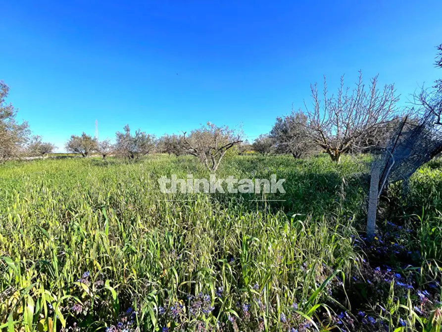 Immagine 46 di Villa in vendita  in Contrada Tribastone a Ragusa