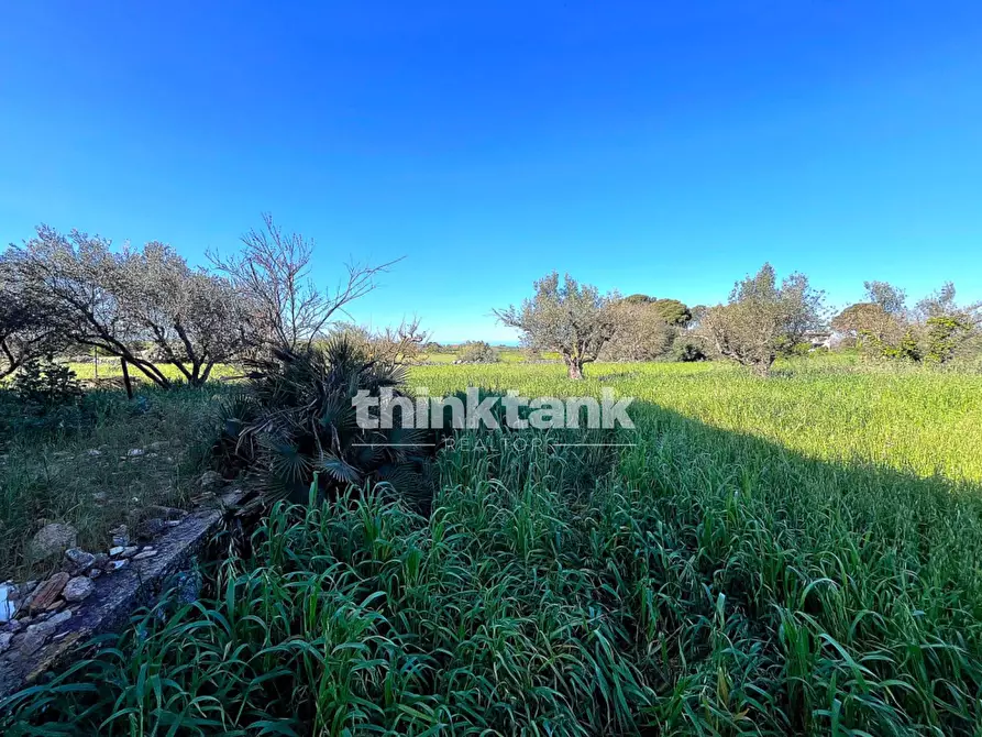 Immagine 47 di Villa in vendita  in Contrada Tribastone a Ragusa