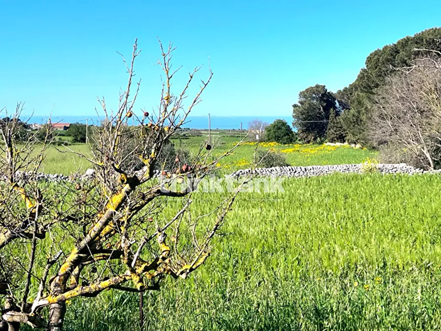 Immagine 3 di Villa in vendita  in Contrada Tribastone a Ragusa