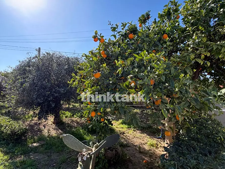 Immagine 32 di Villa in vendita  in Via Chiusa di Carlo a Avola