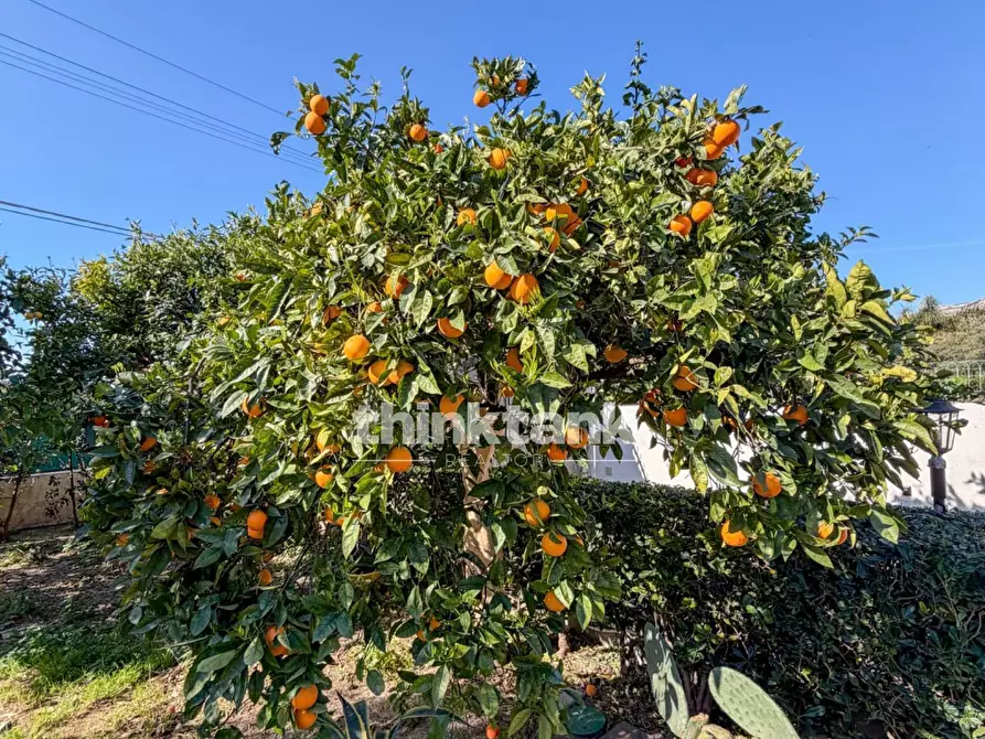 Immagine 33 di Villa in vendita  in Via Chiusa di Carlo a Avola