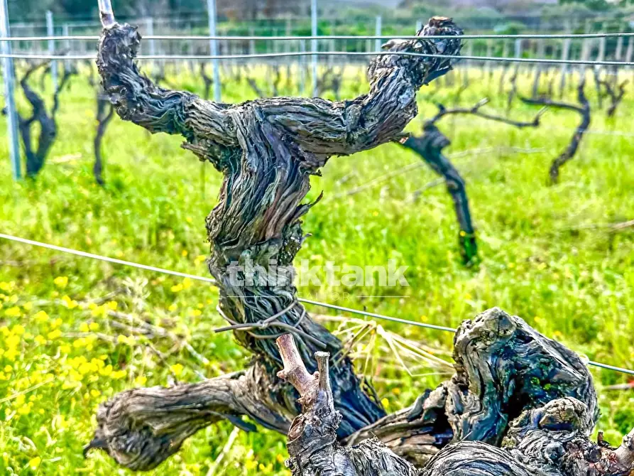 Immagine 2 di Villa in vendita  in Verzella a Castiglione Di Sicilia