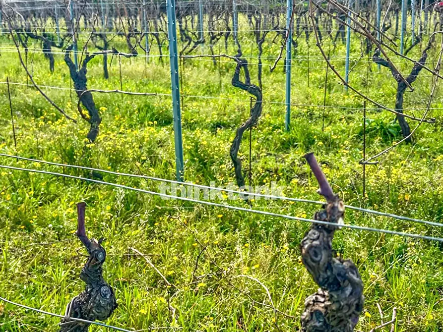 Immagine 3 di Villa in vendita  in Verzella a Castiglione Di Sicilia