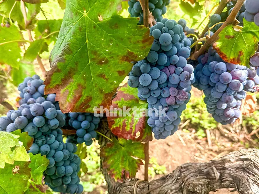 Immagine 7 di Villa in vendita  in Verzella a Castiglione Di Sicilia