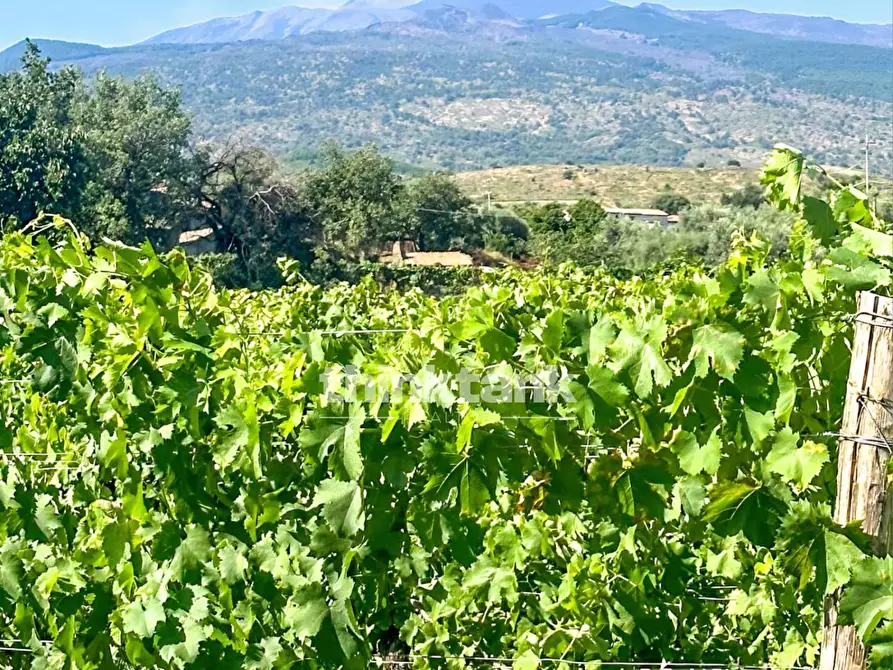 Immagine 8 di Villa in vendita  in Verzella a Castiglione Di Sicilia