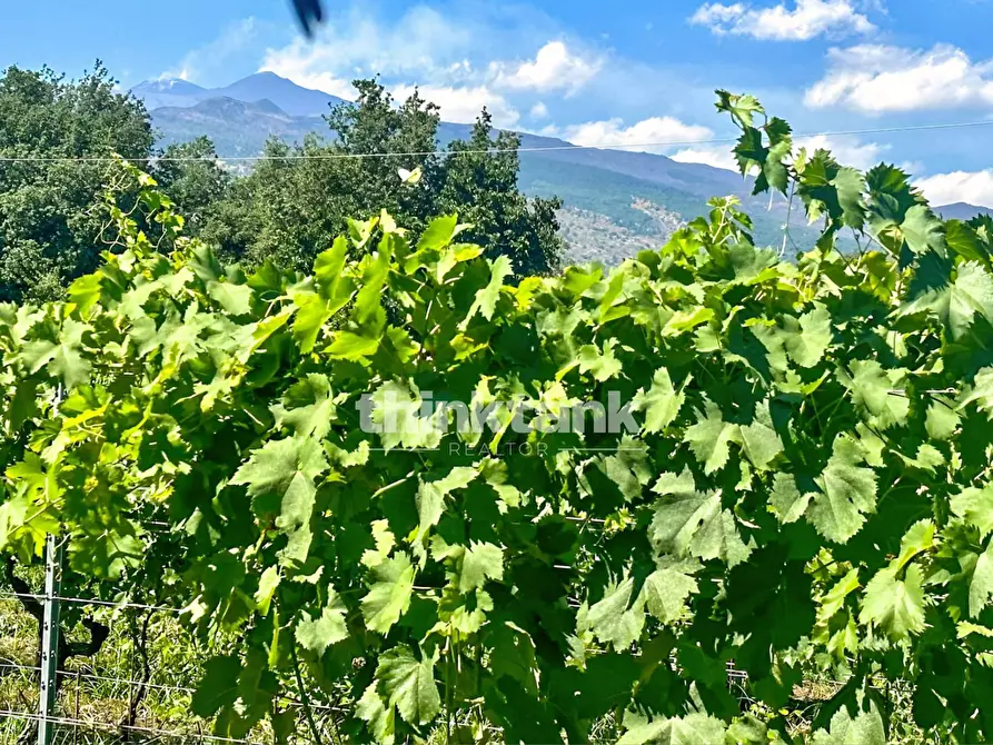 Immagine 12 di Villa in vendita  in Verzella a Castiglione Di Sicilia