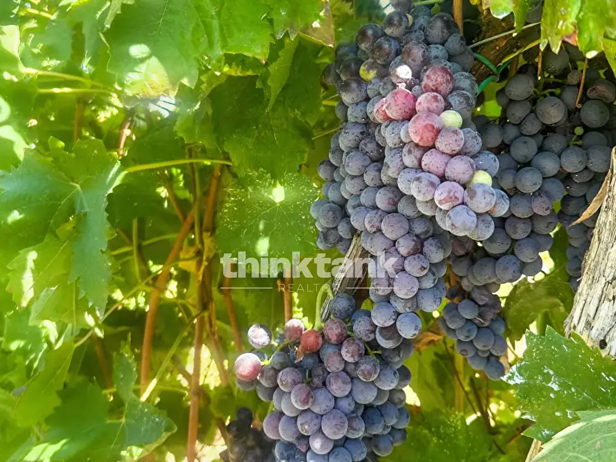 Immagine 15 di Villa in vendita  in Verzella a Castiglione Di Sicilia